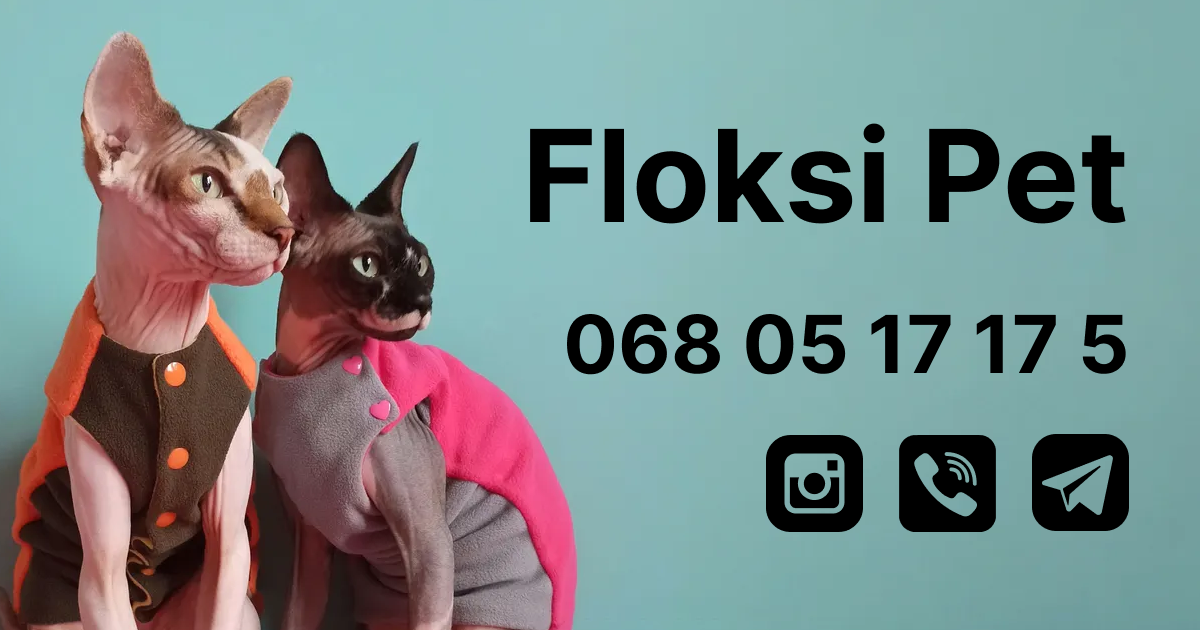 Наша майстерня з пошиву одягу для котів