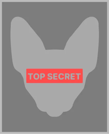 велсофт безрукавка грейпфрут розмір 2XL за 470 грн - одяг для кота сфінкса